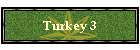 Turkey 3
